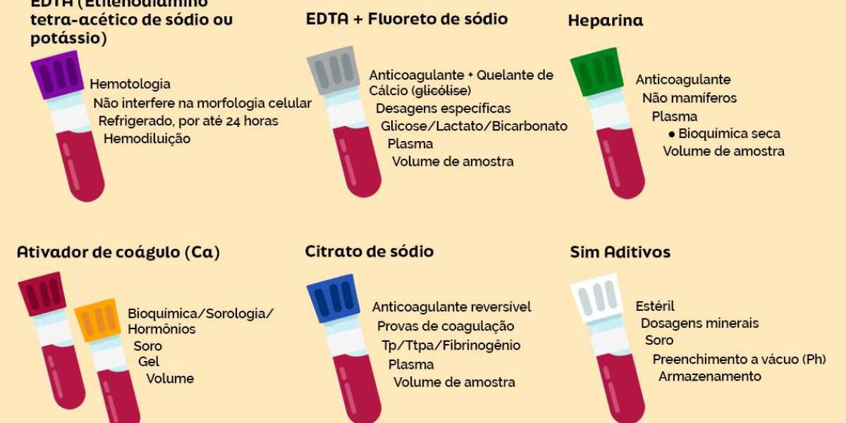 Descubra o Verdadeiro Custo do Exame de PCR para Seu Cão: Vale a Pena Investir na Saúde do Seu Melhor Amigo?