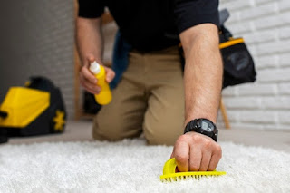 Winter Deep Cleaning vs. Regular Cleaning: When to Choose the Professional Touch