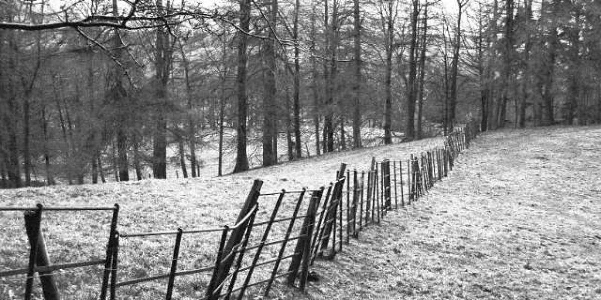 What Are Peptides, Where To Get Them, And Much More