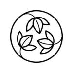 glowterra Clean Beauty Profile Picture